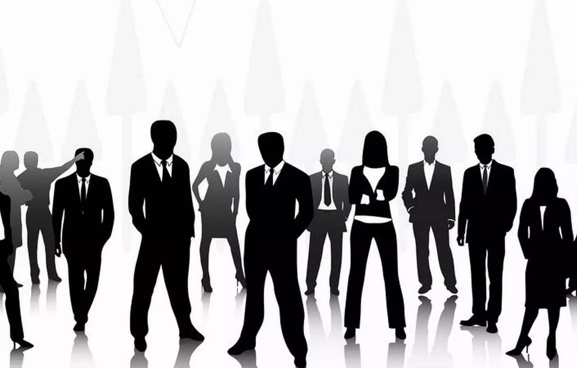 织金最新人事任免，多方观点分析与立场阐述深度解读