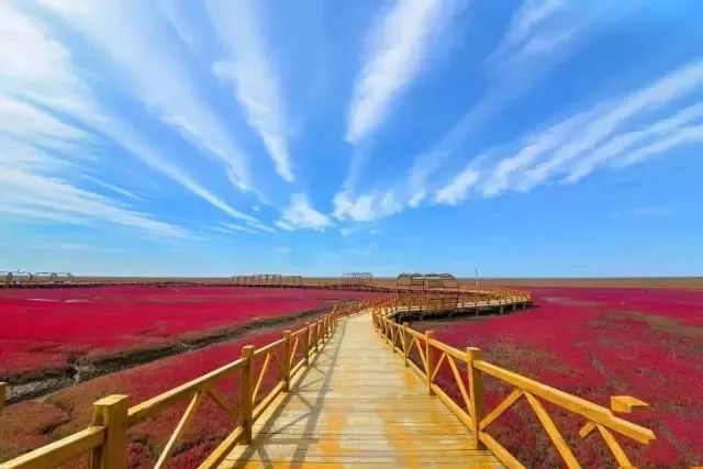 瑞安停电通知，与自然美景的浪漫邂逅之旅