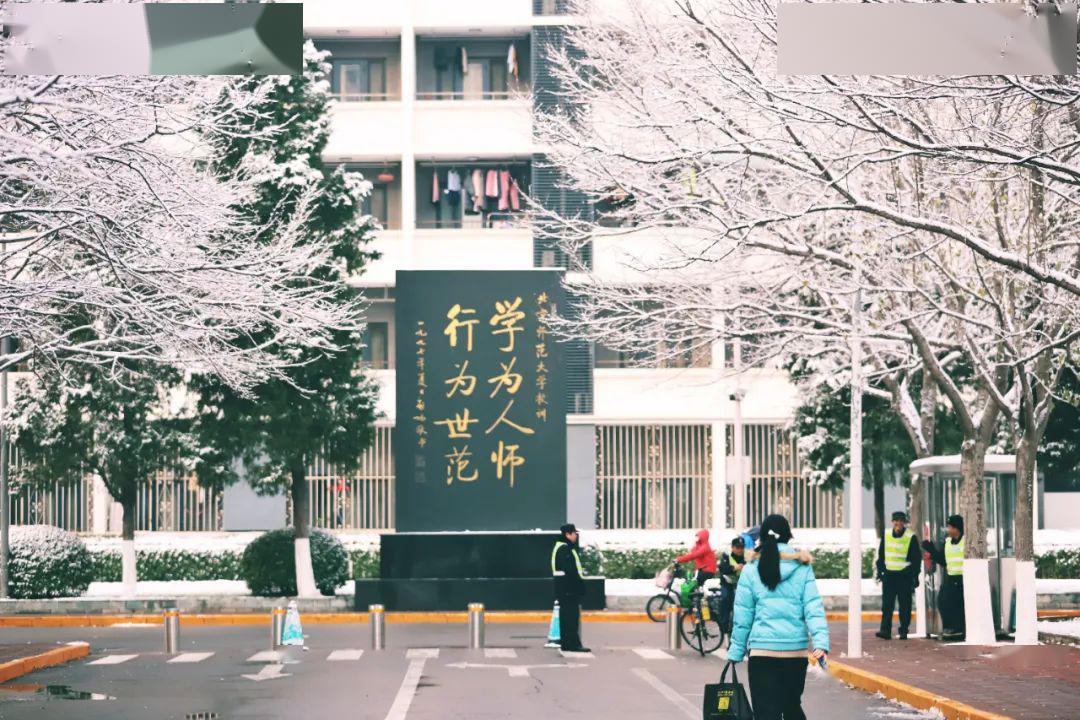 菩提学会最新动态揭秘，心灵成长之旅的深刻探索