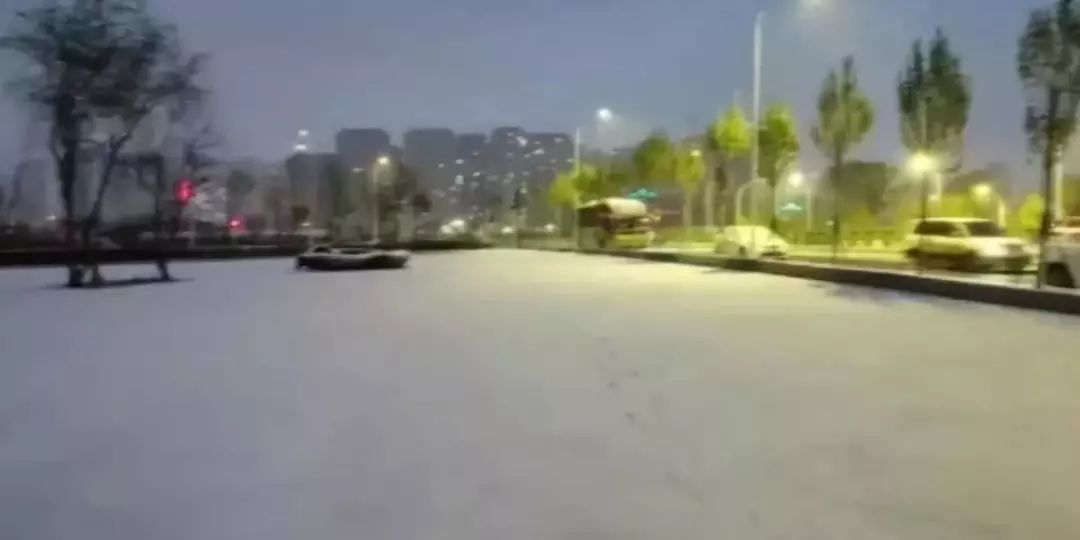哈尔滨台风最新天气下的惊喜探索，巷弄特色小店
