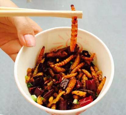 奖虫最新版，小巷里的美食秘境