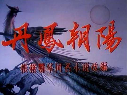 丹凤朝阳最新篇章，翱翔知识海洋，自信成就梦想之路