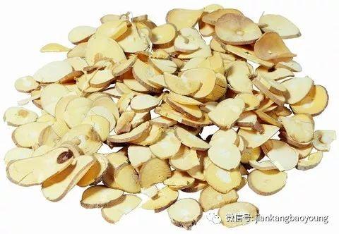 最新肾脏研究成果及其观点论述与解析
