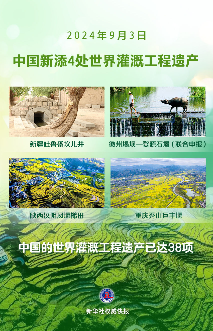 晋江最新作品上线，探索文学的新疆界