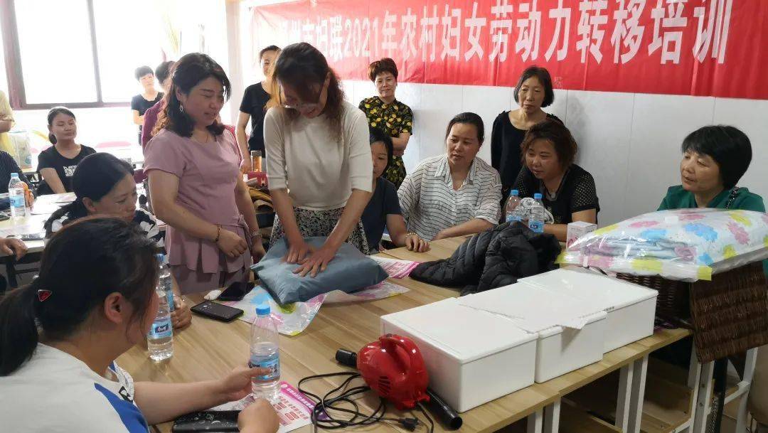 最新BT下载技术引领数字生活新纪元，高速下载之旅体验