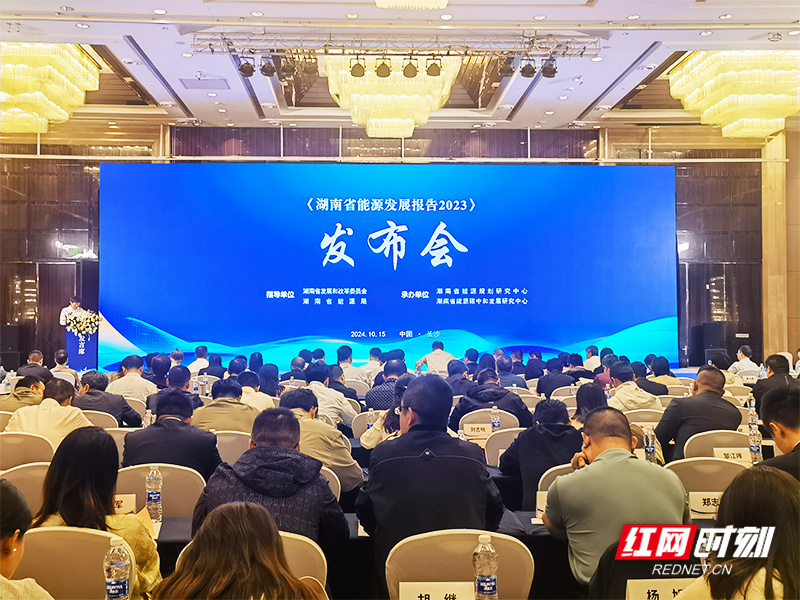 湖南最新发展动态速递，聚焦湖南发展动态报告！
