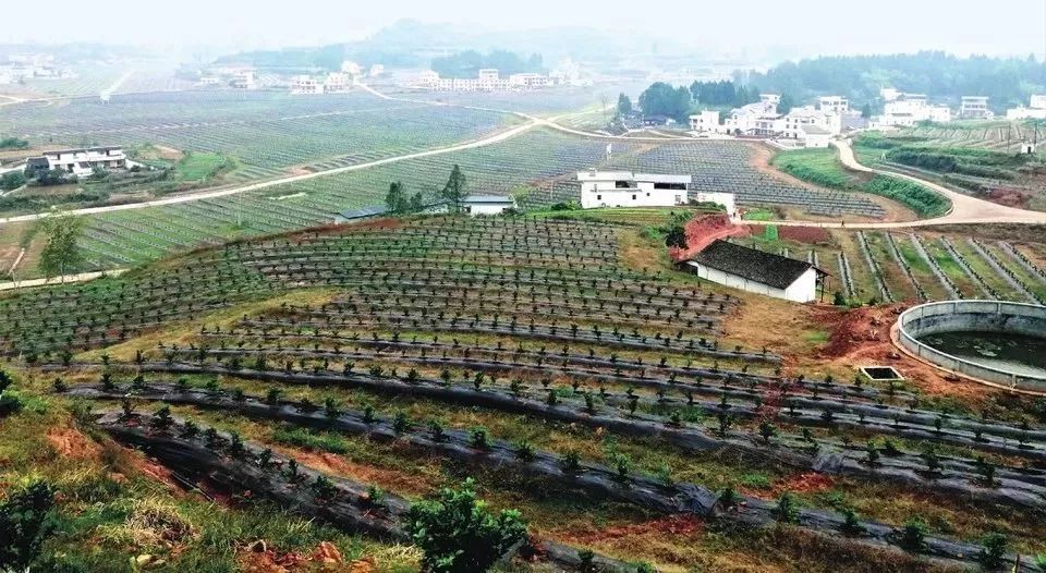 仪陇日兴镇最新资讯探索自然美景，重拾内心宁静之旅
