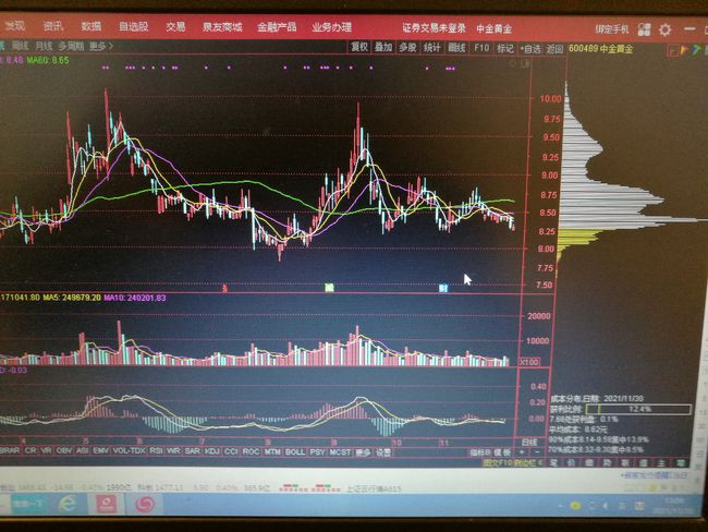 中金黄金最新动态，多维度探讨与行业观点分析