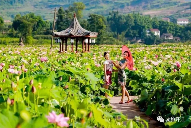 最新乡村音乐与自然美景之旅，寻找内心的平和
