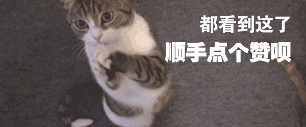 最新鲜图片，一段温馨的日常故事，感受生活的美好瞬间