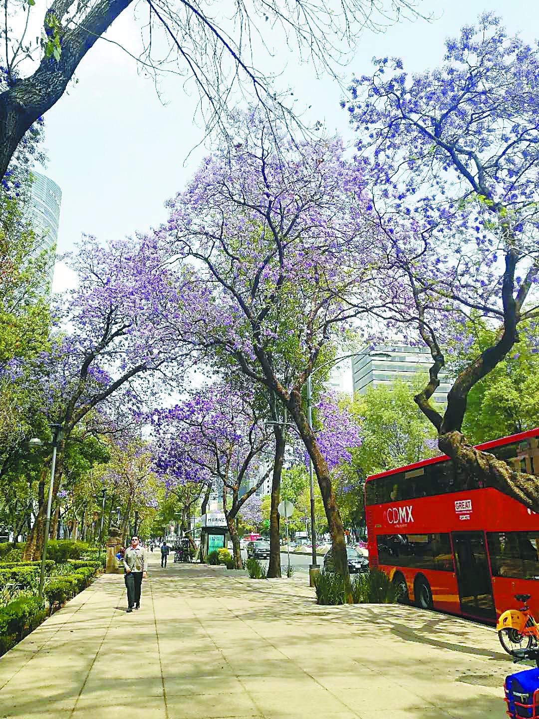 最新小生意项目探索，旅行寻觅自然美景与内心平和之地