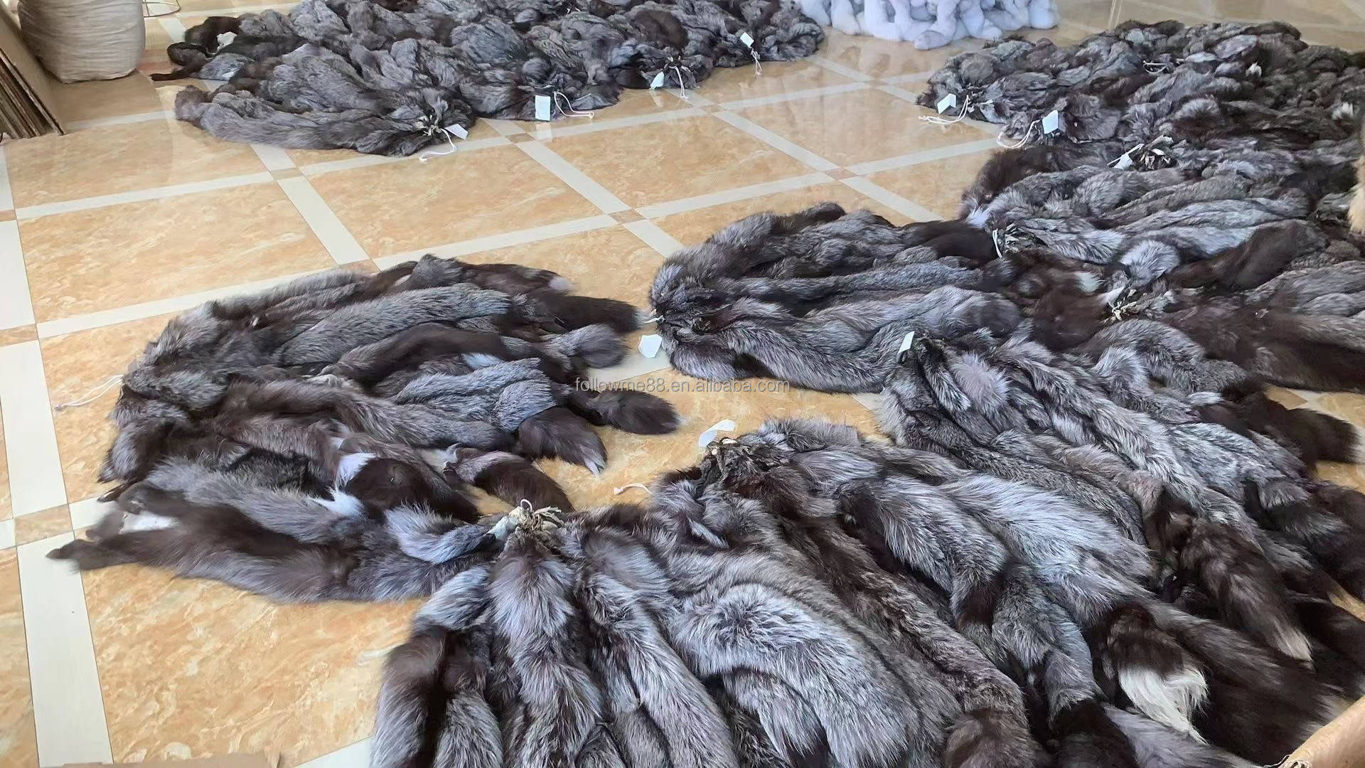 狐狸皮最新价格概览，市场走势、正反观点与个人立场分析