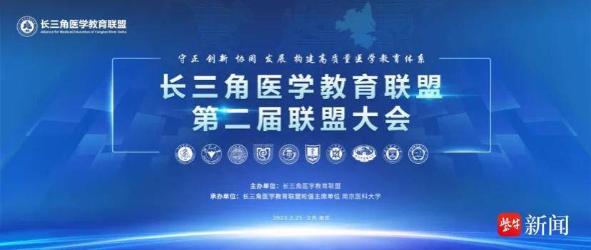 探索新时代合作与发展，最新同盟动态报道