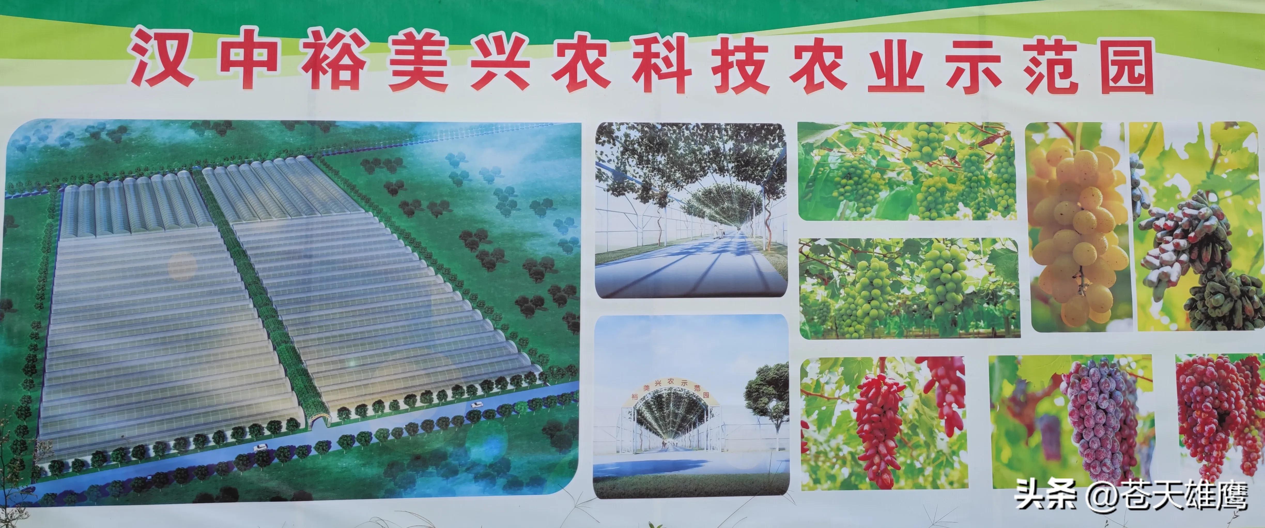 陕西汉中高科技产品引领未来，改善生活品质的最新新闻头条