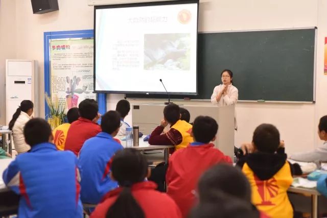 西和公安网最新动态，与自然的亲密接触，心灵平静之旅探索