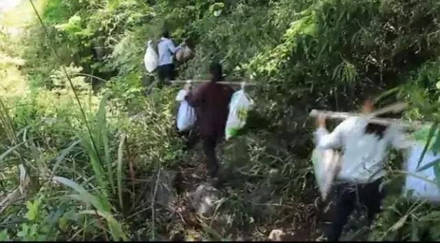 阳江城南新区蜕变中的机遇，最新消息与成就感的源泉