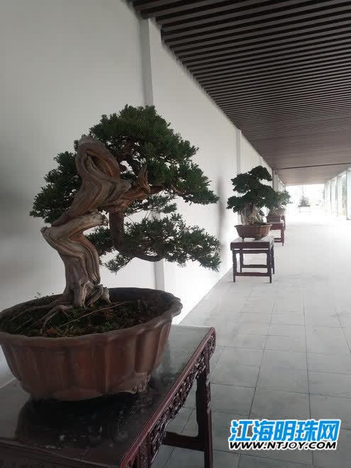 濠西园二手房探索，小巷深处的惊喜房源
