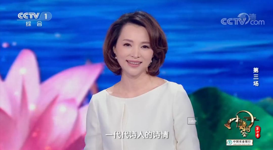 杨晨曦最新婚礼主持词，浪漫仪式，见证幸福时刻