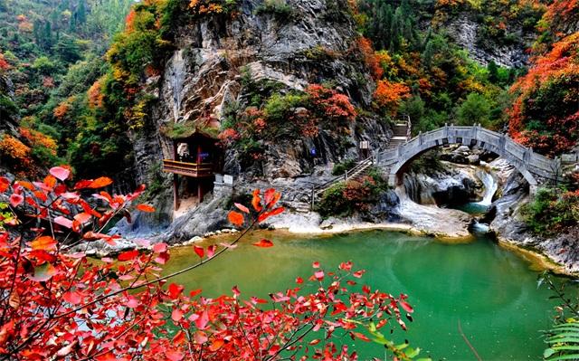 陇南成州机场最新动态，自然之旅的呼唤，探索心灵宁静之地