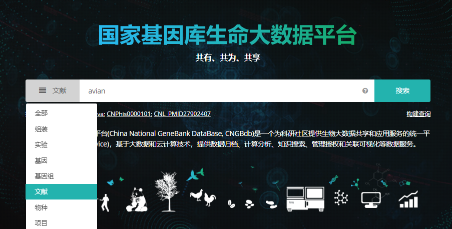 国际最新快讯速递，获取指南揭秘全球动态