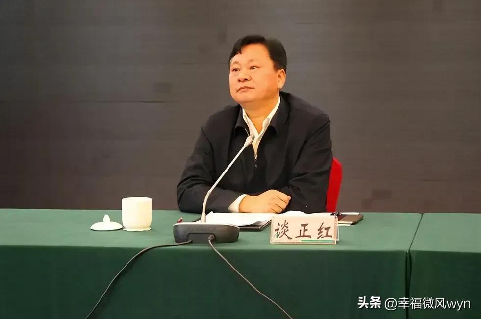 新化最新案情详解，案件调查步骤指南（适用于初学者与进阶用户）