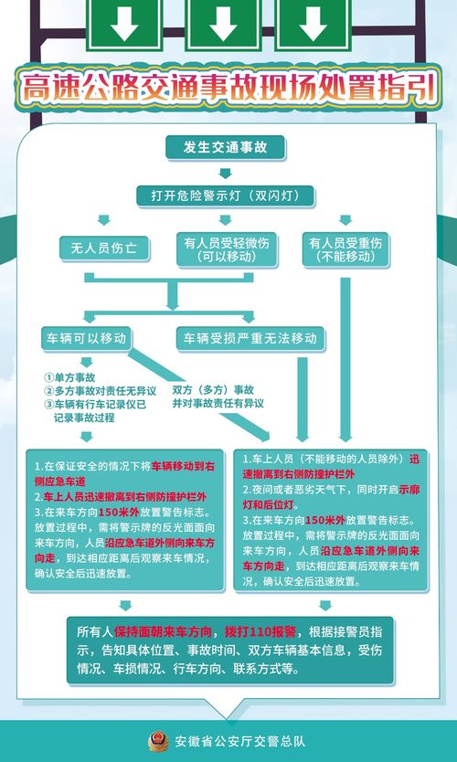 路面坍塌处理指南，从初学者到进阶用户的步骤详解