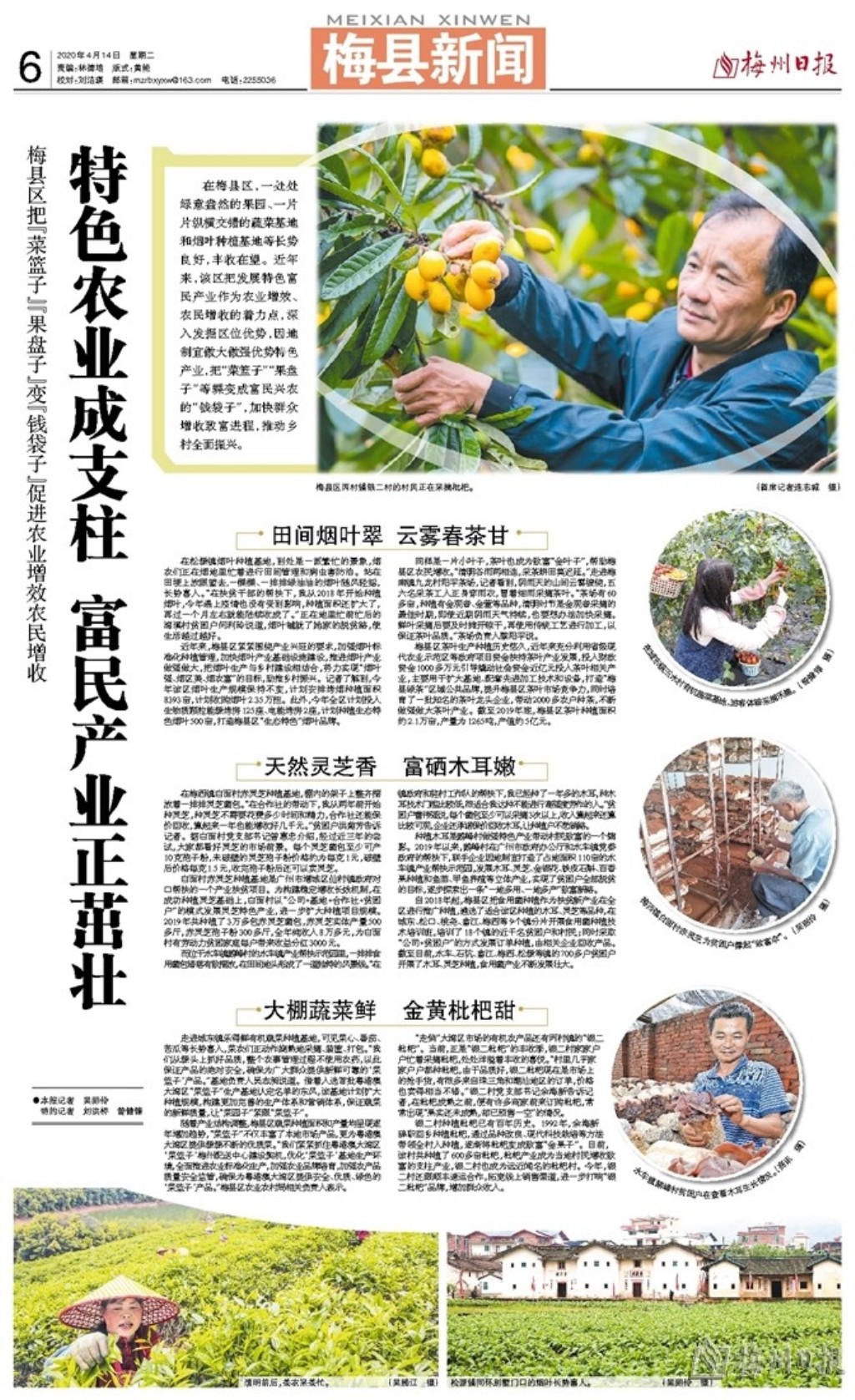 梅县疫情最新动态与小巷深处的独特风味