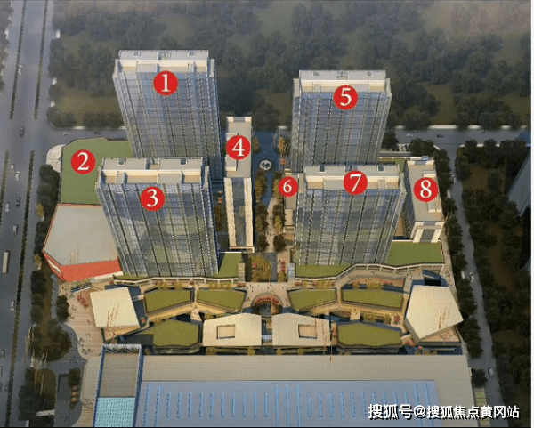 奇数蛋最新观点阐述与分析