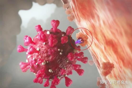 罗源最新病毒揭秘，真相探寻与应对之策