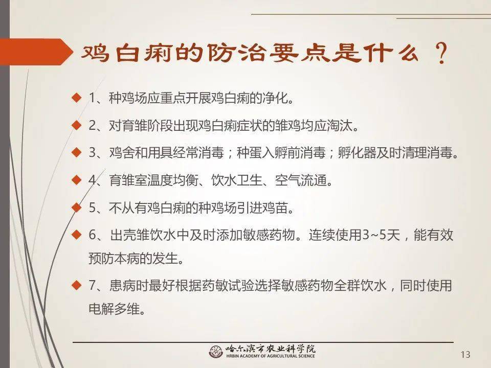玉琴最新报告揭秘，引领科技潮流的高科技产品介绍