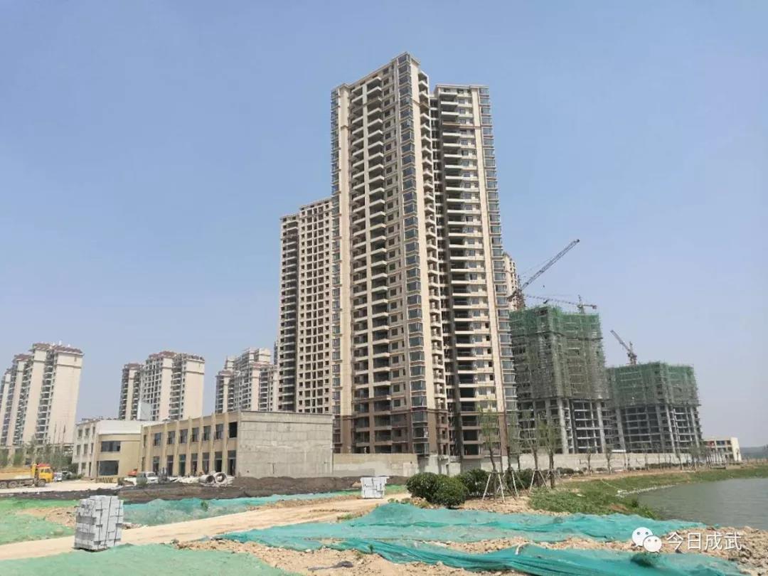 成武楼盘最新价格，时代印记与城市的脉动