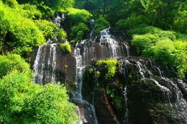 达达最新版，轻松探索自然美景的旅程