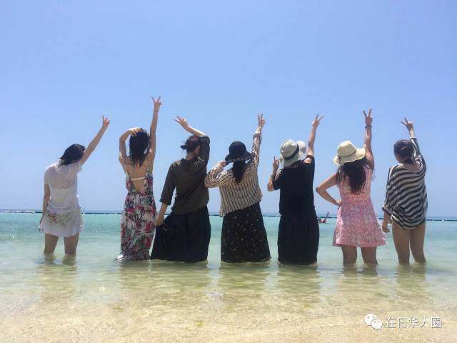 与大自然共舞的心灵之旅，寻找最新顺的人