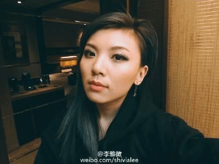 深度解析，李雅门背景、重大事件及地位影响全面探讨